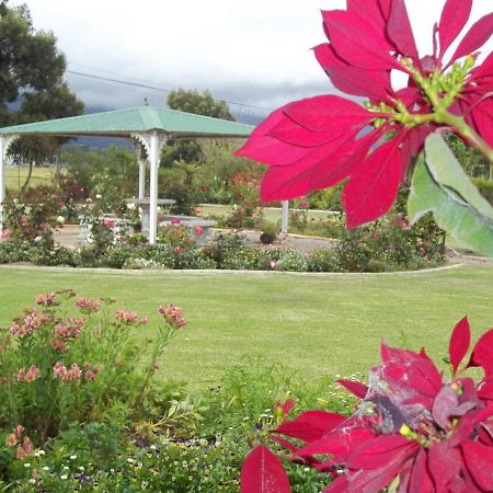African Sun Guest House Джордж Екстер'єр фото