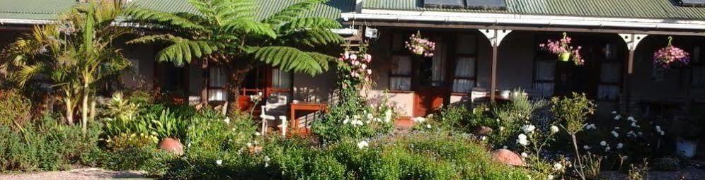 African Sun Guest House Джордж Екстер'єр фото