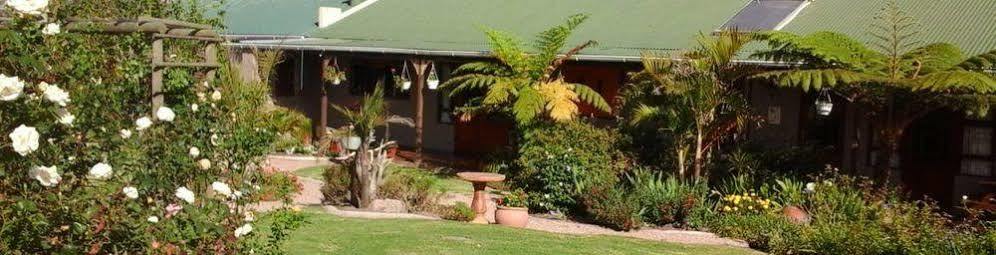 African Sun Guest House Джордж Екстер'єр фото