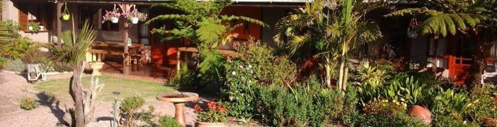 African Sun Guest House Джордж Екстер'єр фото